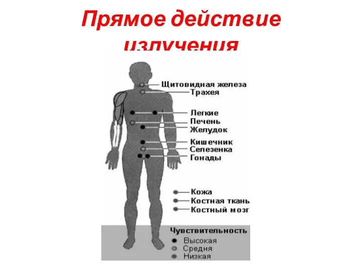 Прямое действие излучения