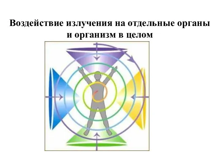 Воздействие излучения на отдельные органы и организм в целом