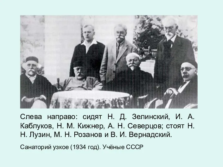 Слева направо: сидят Н. Д. Зелинский, И. А. Каблуков, Н.