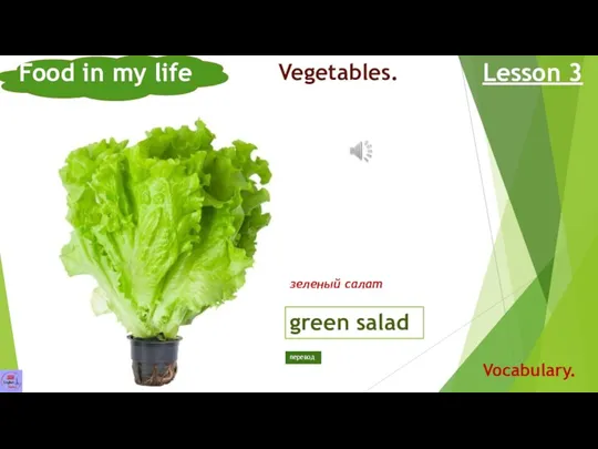 green salad Food in my life Lesson 3 Vocabulary. Vegetables. зеленый салат перевод