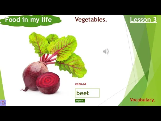 Food in my life Lesson 3 Vocabulary. Vegetables. beet свекла перевод