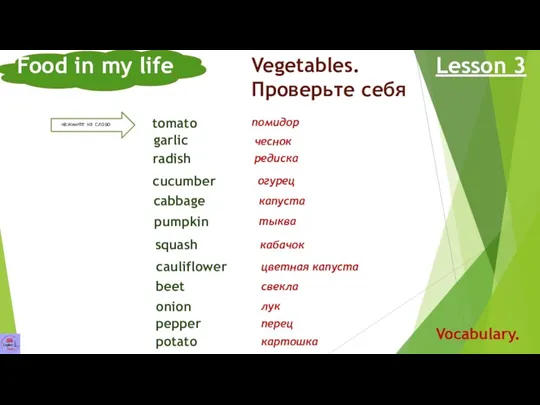 Food in my life Lesson 3 Vocabulary. Vegetables. Проверьте себя
