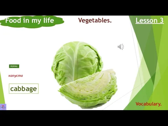 cabbage Food in my life Lesson 3 Vocabulary. Vegetables. капуста перевод