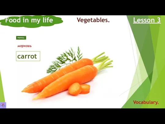 Food in my life Lesson 3 Vocabulary. Vegetables. carrot морковь перевод
