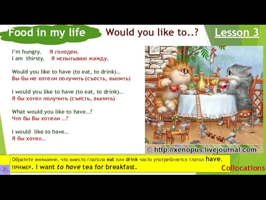 Food in my life Lesson 3 Collocations Would you like