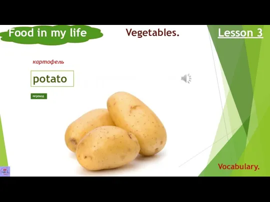 potato Food in my life Lesson 3 Vocabulary. Vegetables. картофель перевод