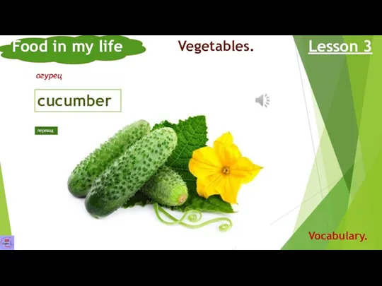 Food in my life Lesson 3 Vocabulary. Vegetables. cucumber огурец перевод