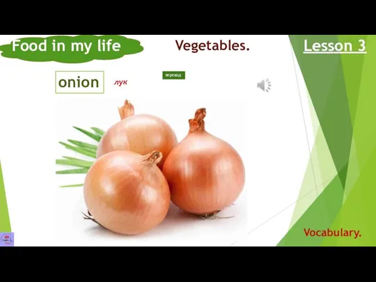 onion Food in my life Lesson 3 Vocabulary. Vegetables. лук перевод