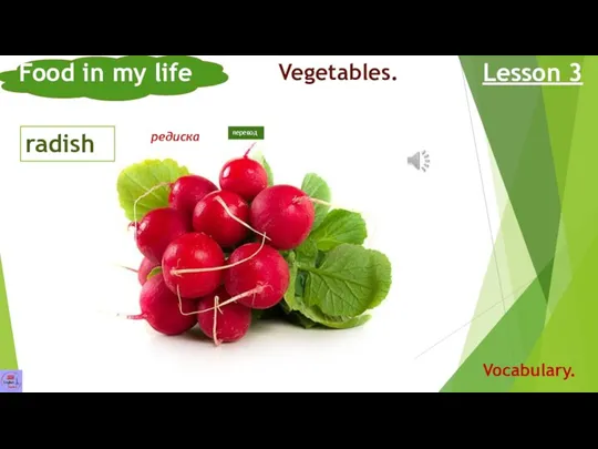 radish Food in my life Lesson 3 Vocabulary. Vegetables. редиска перевод