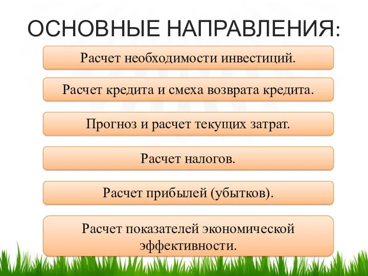 ОСНОВНЫЕ НАПРАВЛЕНИЯ: Расчет необходимости инвестиций. Расчет кредита и смеха возврата кредита. Прогноз и