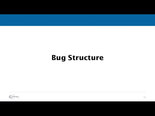 Bug Structure