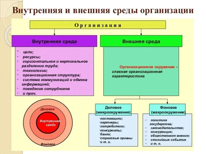 Внутренняя и внешняя среды организации