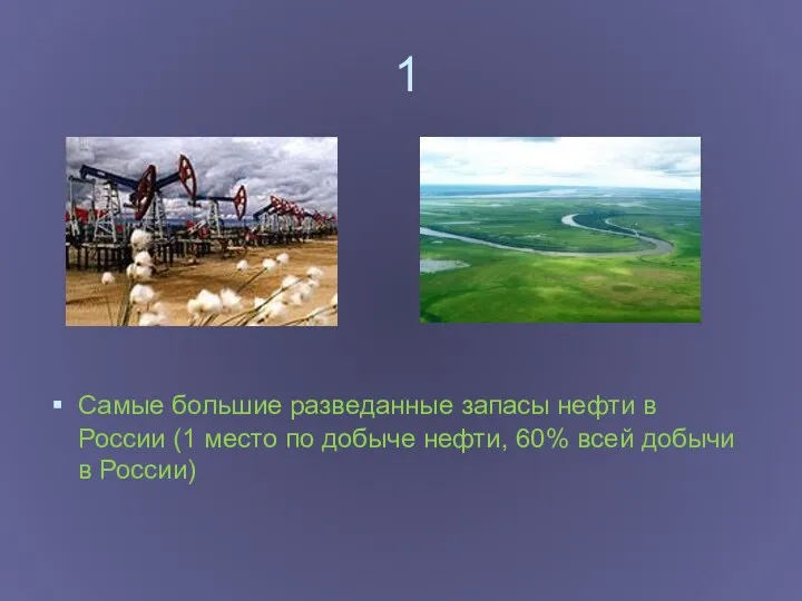 1 Самые большие разведанные запасы нефти в России (1 место