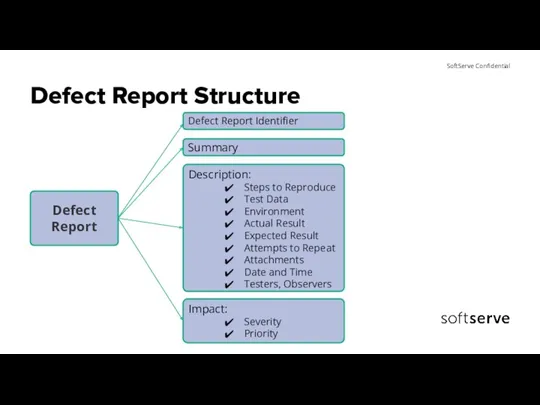 Defect Report Structure