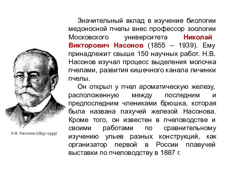 Значительный вклад в изучение биологии медоносной пчелы внес профессор зоологии