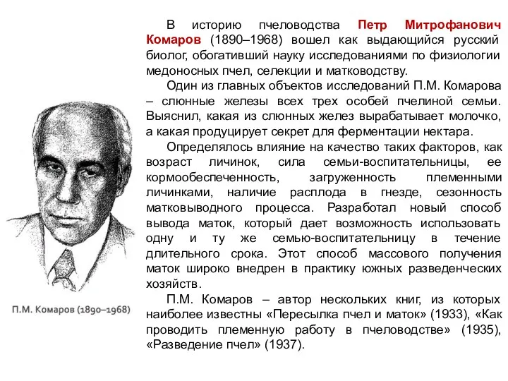 В историю пчеловодства Петр Митрофанович Комаров (1890–1968) вошел как выдающийся