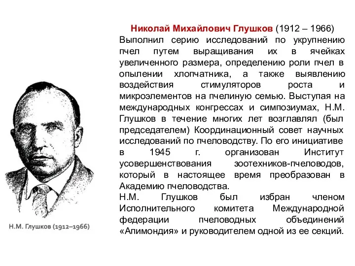 Николай Михайлович Глушков (1912 – 1966) Выполнил серию исследований по