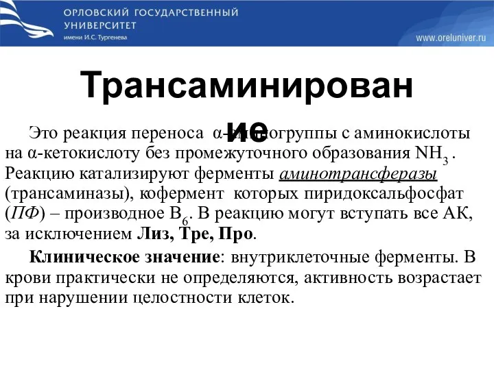 Это реакция переноса α-аминогруппы с аминокислоты на α-кетокислоту без промежуточного