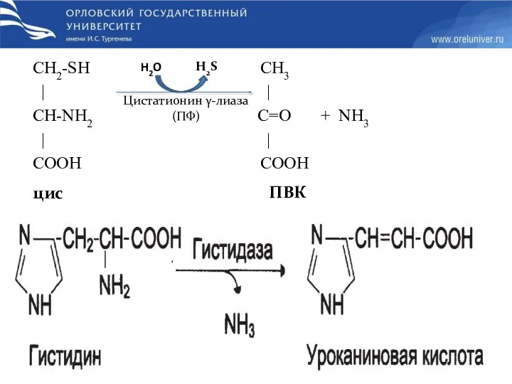 СН2-SH СН3 | | CH-NН2 С=O + NН3 | |