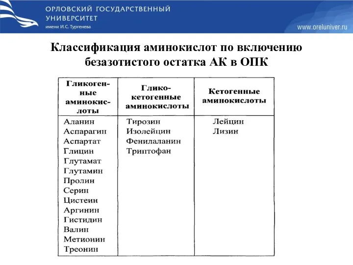 Классификация аминокислот по включению безазотистого остатка АК в ОПК