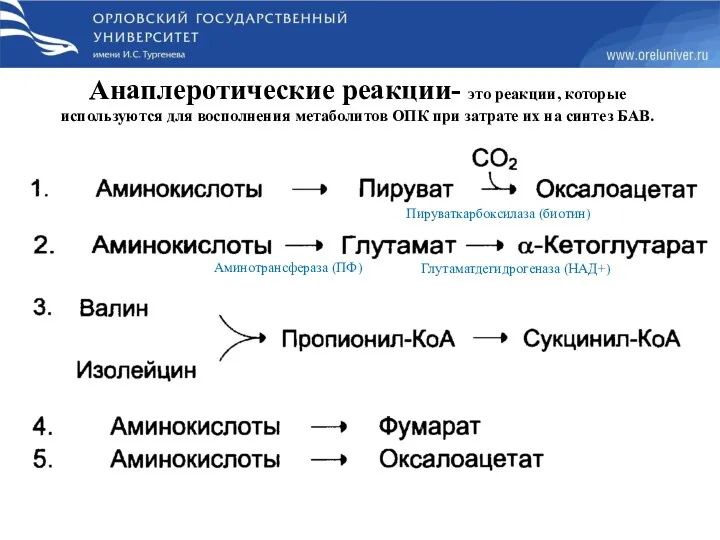 Анаплеротические реакции- это реакции, которые используются для восполнения метаболитов ОПК