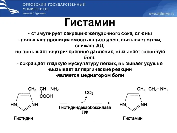 Гистамин - стимулирует секрецию желудочного сока, слюны - повышает пронициаемость