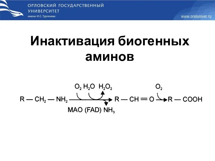 Инактивация биогенных аминов