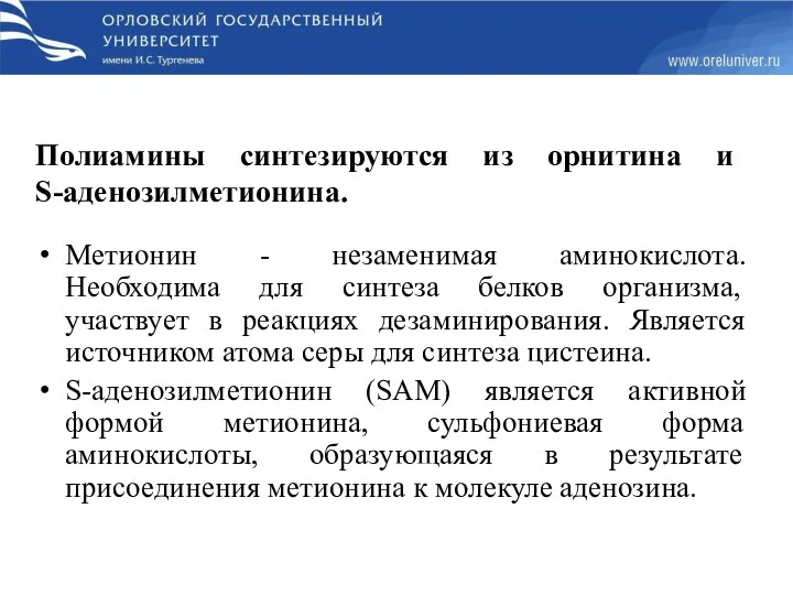 Полиамины синтезируются из орнитина и S-аденозилметионина. Метионин - незаменимая аминокислота.