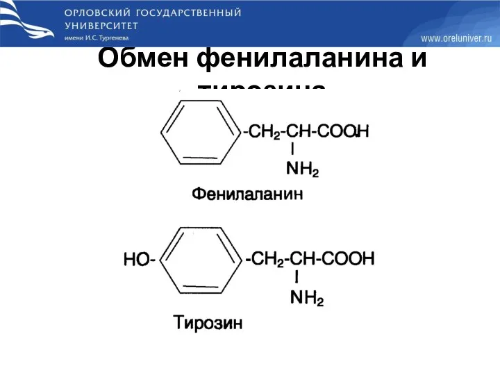 Обмен фенилаланина и тирозина