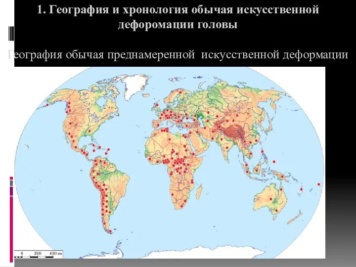 1. География и хронология обычая искусственной дефоромации головы География обычая преднамеренной искусственной деформации