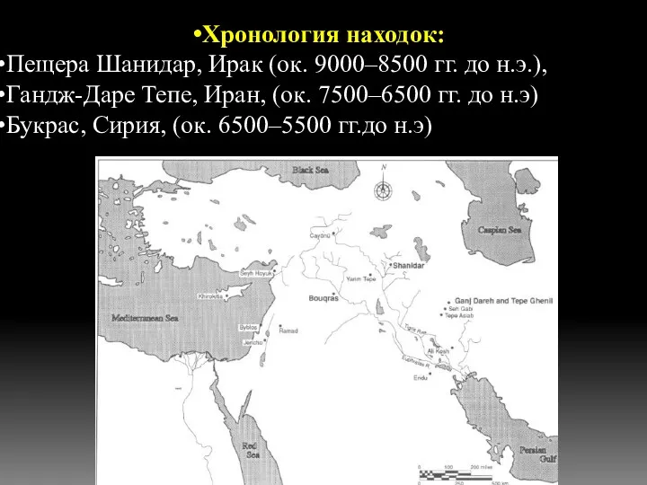 Хронология находок: Пещера Шанидар, Ирак (ок. 9000–8500 гг. до н.э.),