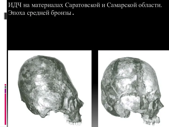 ИДЧ на материалах Саратовской и Самарской области. Эпоха средней бронзы.