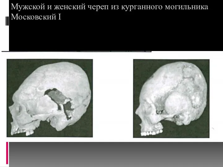 Мужской и женский череп из курганного могильника Московский I