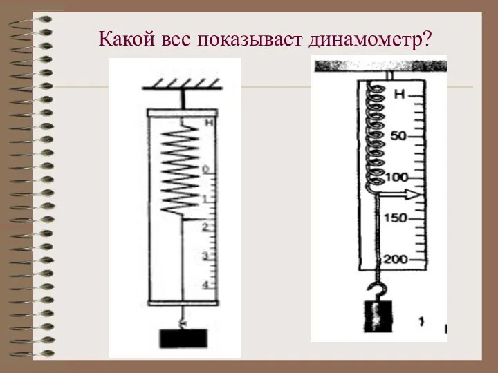 Какой вес показывает динамометр?