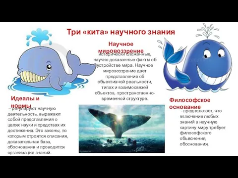 Три «кита» научного знания Идеалы и нормы – регулируют научную