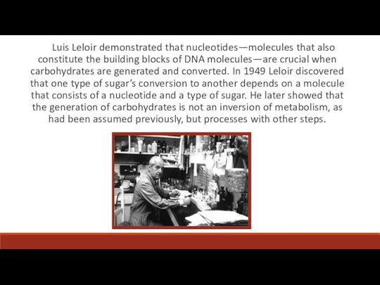 Luis Leloir demonstrated that nucleotides—molecules that also constitute the building