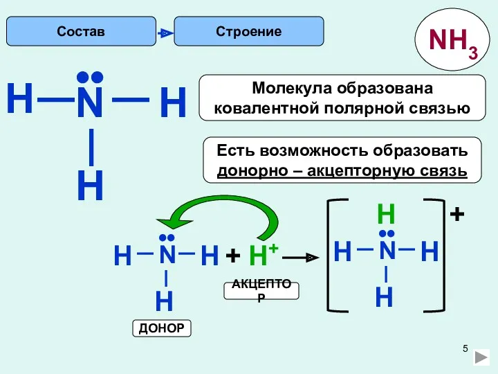 H Строение N H H •• Есть возможность образовать донорно