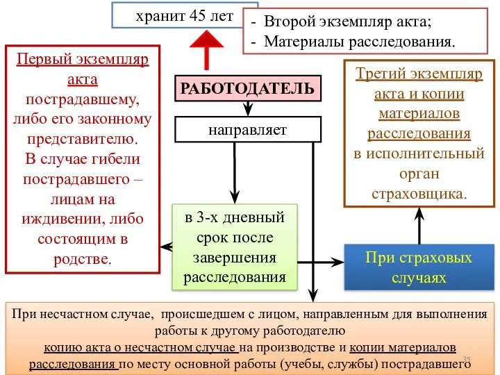 РАБОТОДАТЕЛЬ направляет хранит 45 лет в 3-х дневный срок после