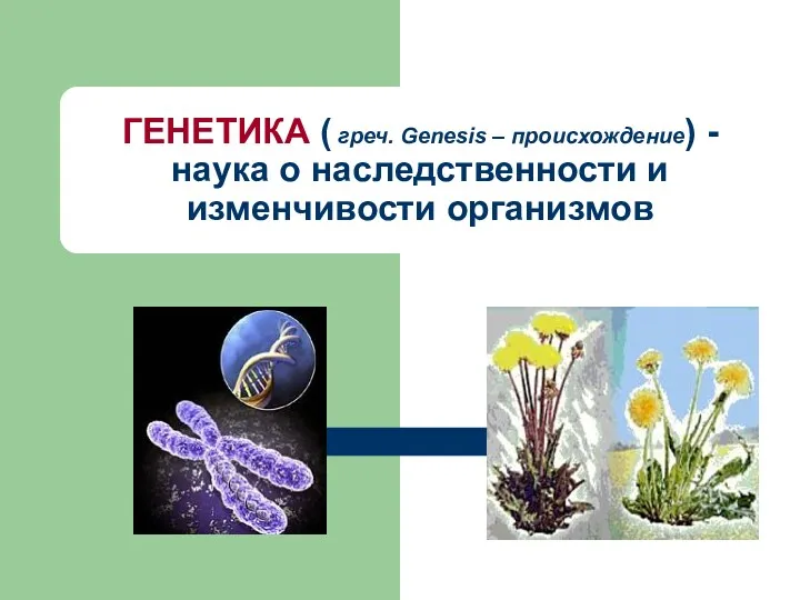 ГЕНЕТИКА ( греч. Genesis – происхождение) - наука о наследственности и изменчивости организмов