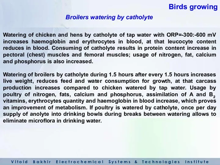 Watering of chicken and hens by catholyte of tap water