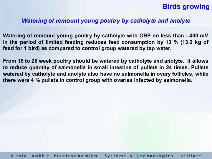 Watering of remount young poultry by catholyte with ORP no