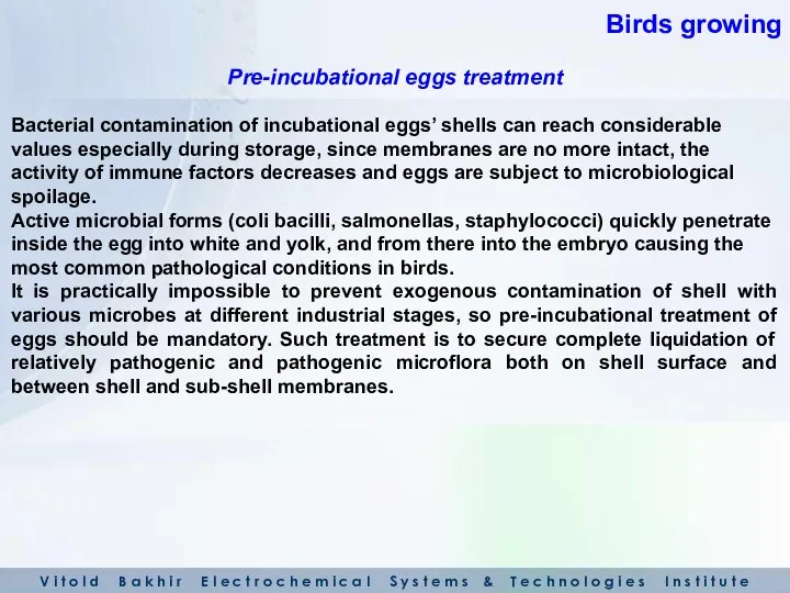 Bacterial contamination of incubational eggs’ shells can reach considerable values