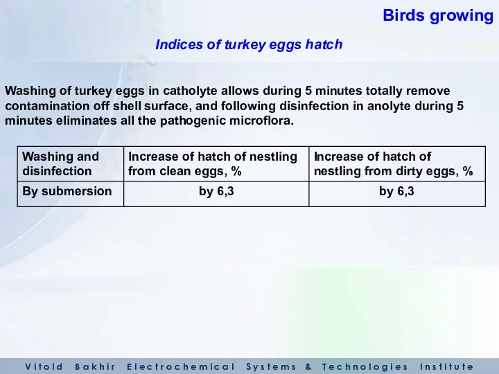 Washing of turkey eggs in catholyte allows during 5 minutes totally remove contamination