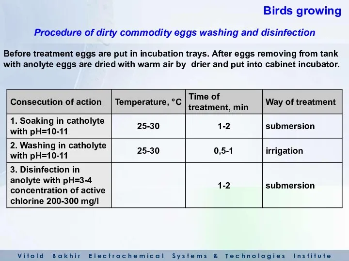 Before treatment eggs are put in incubation trays. After eggs
