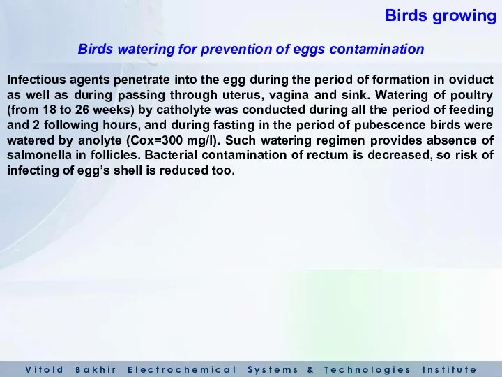 Infectious agents penetrate into the egg during the period of formation in oviduct