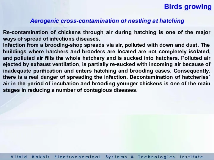 Re-contamination of chickens through air during hatching is one of the major ways