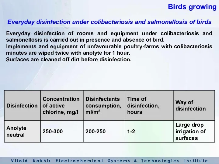 Everyday disinfection of rooms and equipment under colibacteriosis and salmonellosis
