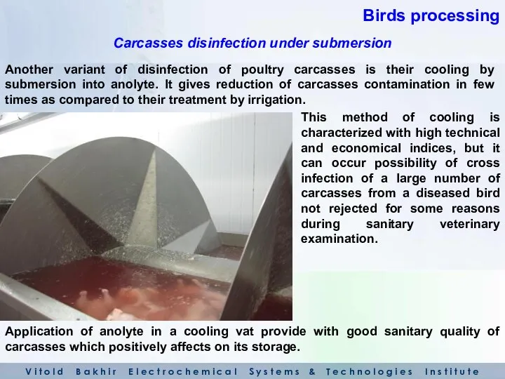 Another variant of disinfection of poultry carcasses is their cooling by submersion into