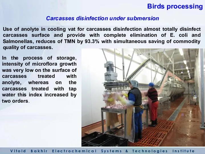 Use of anolyte in cooling vat for carcasses disinfection almost