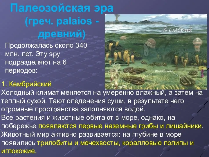 Палеозойская эра (греч. palaios - древний) Продолжалась около 340 млн.